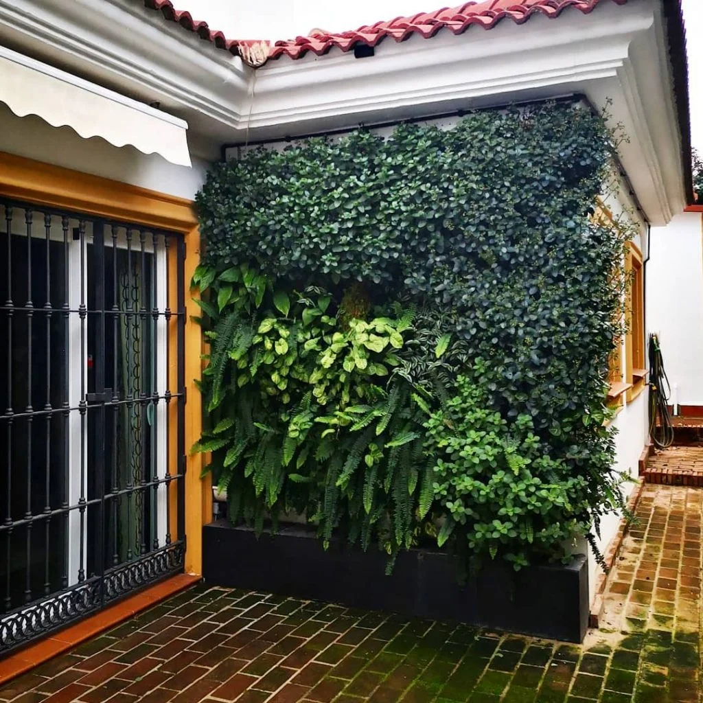 Tampak penerapan konsep taman vertikal di dinding depan rumah, foto: instagram.com