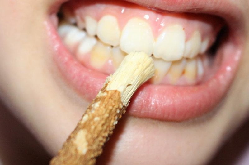 manfaat kayu siwak yang kedua dapat menghilangkan plak gigi, sumber ; google.com