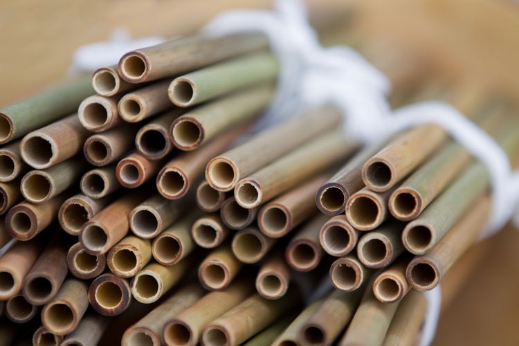 Ramah lingkungan menjadi kelebihan sedotan bambu. Sumber Shutterstock